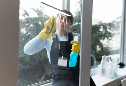 Nettoyage de vitres intérieures et extérieures à Lanne